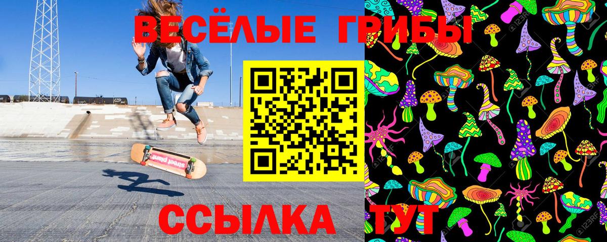 Псилоцибиновые грибы GOLDEN TEACHER Миасс